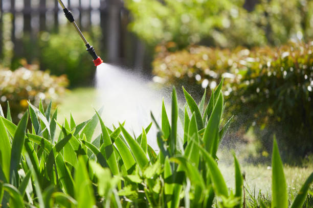 Tamper-Resistant Bait Stations for Rodents in Earlham