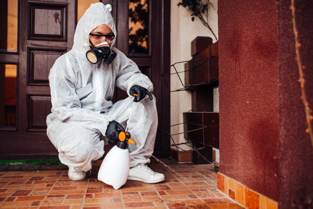 Attic and Crawl Space Rodent Treatment in Earlham