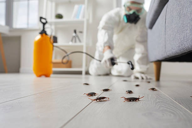 Commercial Rodent Management in Earlham